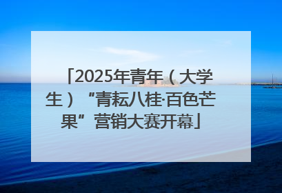 2025年青年（大学生）“青耘八桂·百色芒果”营销大赛开幕