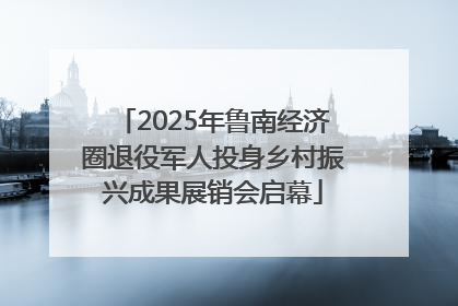 2025年鲁南经济圈退役军人投身乡村振兴成果展销会启幕