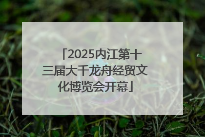 2025内江第十三届大千龙舟经贸文化博览会开幕