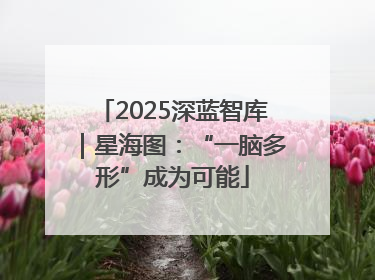 2025深蓝智库｜星海图：“一脑多形”成为可能