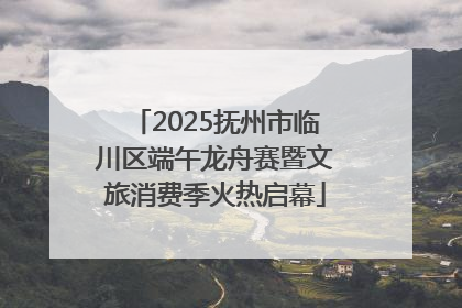 2025抚州市临川区端午龙舟赛暨文旅消费季火热启幕