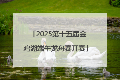 2025第十五届金鸡湖端午龙舟赛开赛