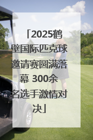 2025鹤壁国际匹克球邀请赛圆满落幕 300余名选手激情对决