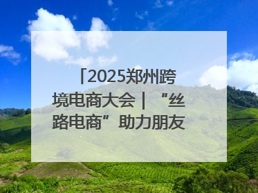 2025郑州跨境电商大会｜“丝路电商”助力朋友圈再扩容