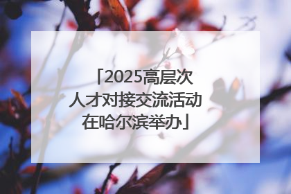 2025高层次人才对接交流活动在哈尔滨举办