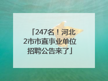 247名！河北2市市直事业单位招聘公告来了