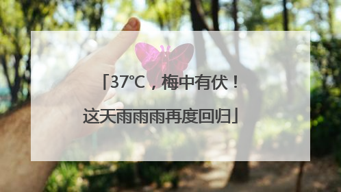 37℃，梅中有伏！这天雨雨雨再度回归