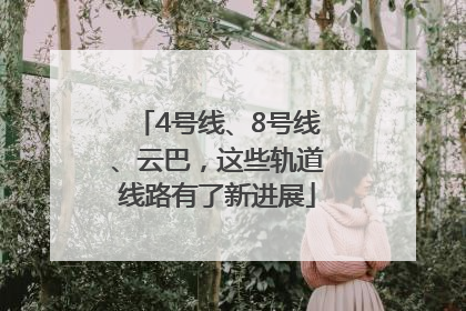 4号线、8号线、云巴，这些轨道线路有了新进展
