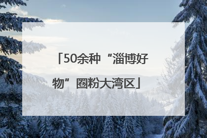 50余种“淄博好物”圈粉大湾区