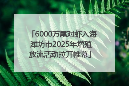 6000万尾对虾入海 潍坊市2025年增殖放流活动拉开帷幕