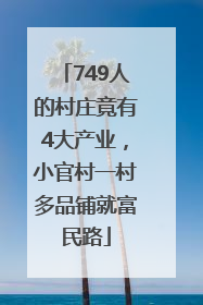 749人的村庄竟有4大产业，小官村一村多品铺就富民路