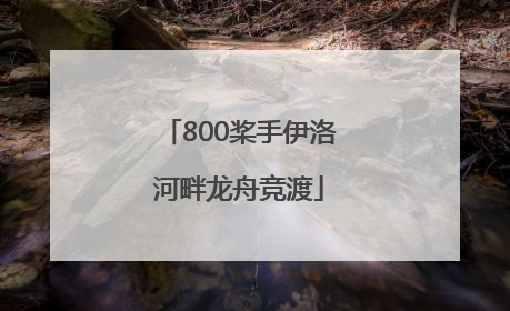 800桨手伊洛河畔龙舟竞渡