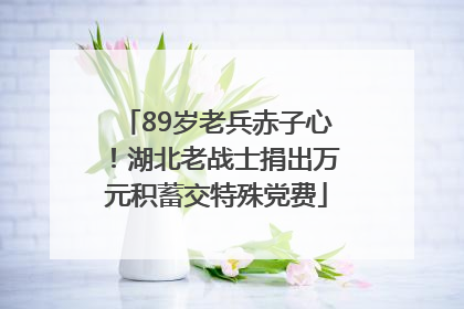 89岁老兵赤子心！湖北老战士捐出万元积蓄交特殊党费