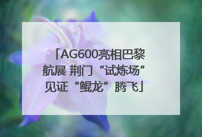 AG600亮相巴黎航展 荆门“试炼场”见证“鲲龙”腾飞