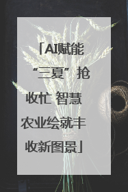 AI赋能“三夏”抢收忙 智慧农业绘就丰收新图景