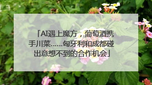 AI遇上魔方，葡萄酒携手川菜……匈牙利和成都碰出意想不到的合作机会
