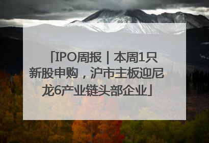 IPO周报｜本周1只新股申购，沪市主板迎尼龙6产业链头部企业
