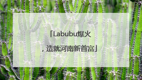Labubu爆火，造就河南新首富