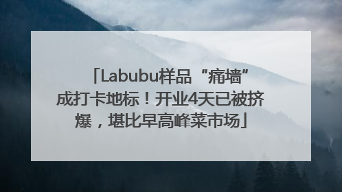 Labubu样品“痛墙”成打卡地标！开业4天已被挤爆，堪比早高峰菜市场